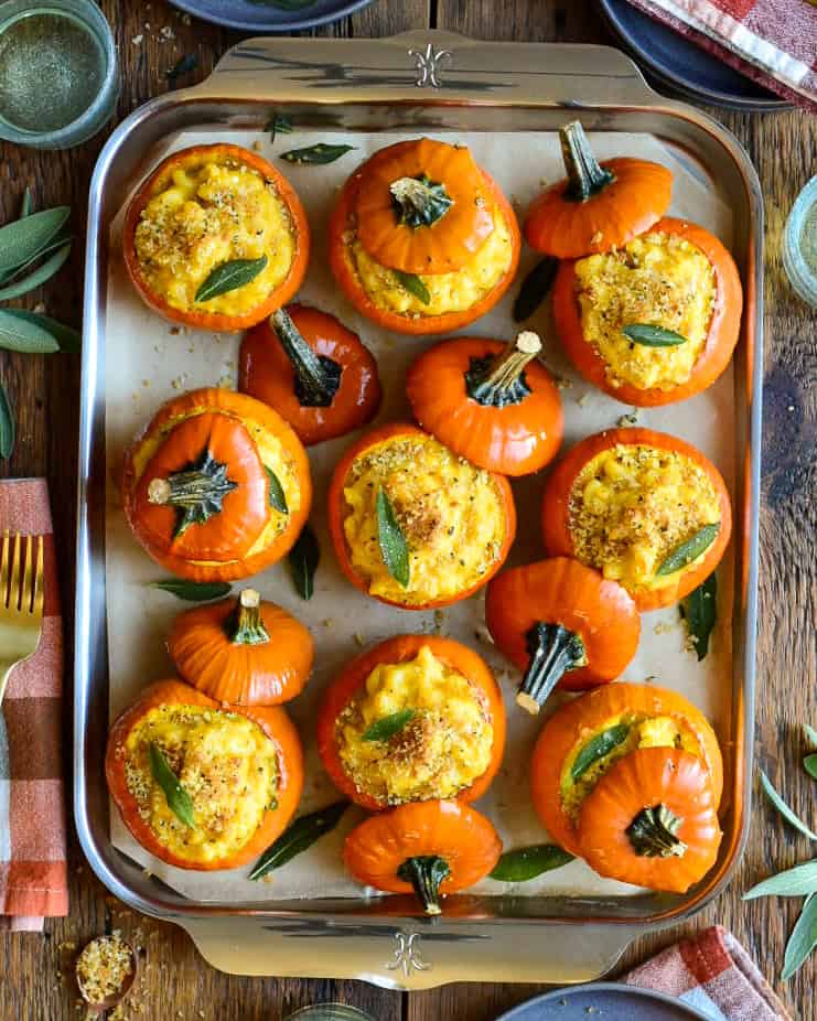 Delicious mini pumpkin mac & cheese baked in mini orange pumpkin shells, perfect for fall snacks or holiday appetizers.