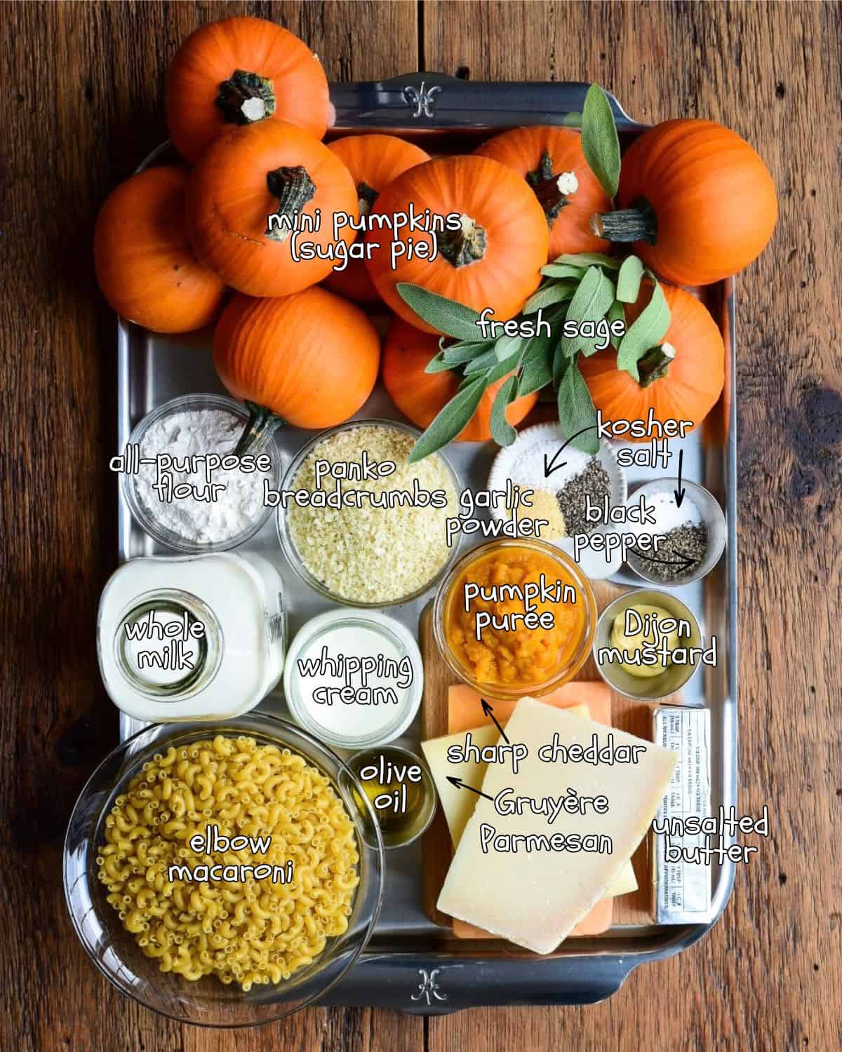 Ingredients laid out and labelled for a Baked Mini Pumpkin Mac & Cheese recipe.