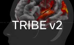Meta Unveils TRIBE v2 AI Model Capable of Predicting Human Brain Activity
