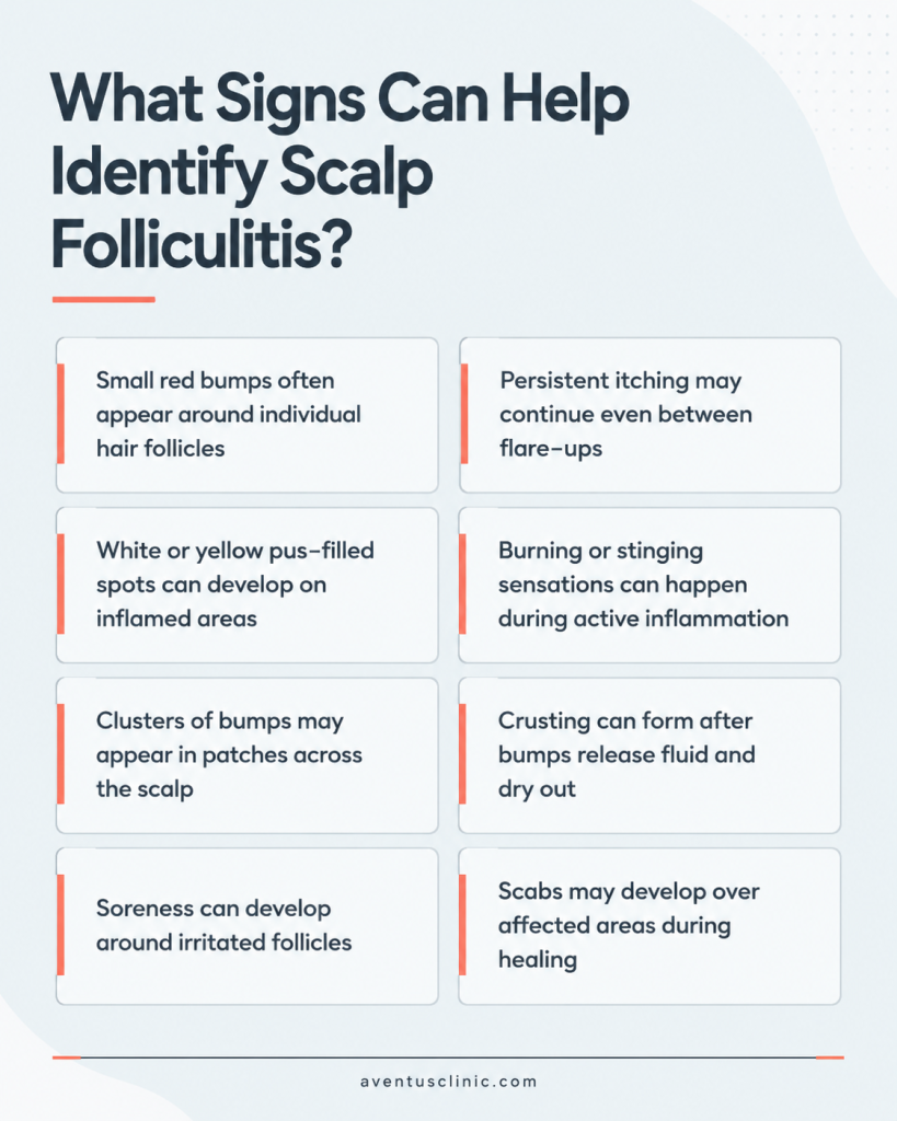 What signs can help identify scalp folliculitis infographics
