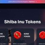 What Is Shiba Inu? And How Does it work? A Beginner's guide to SHIB