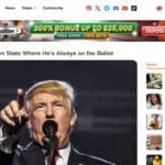 What is WSM Coin? ​How It Works & Its Features 2024 Review