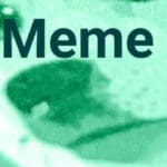 Crypto Trader Turns $458K Into $4.9M with Meme Coin in 2 Weeks