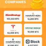 10 Best Bitcoin Treasury Companies 2025