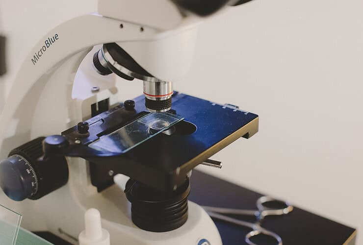 Les cheveux au microscope