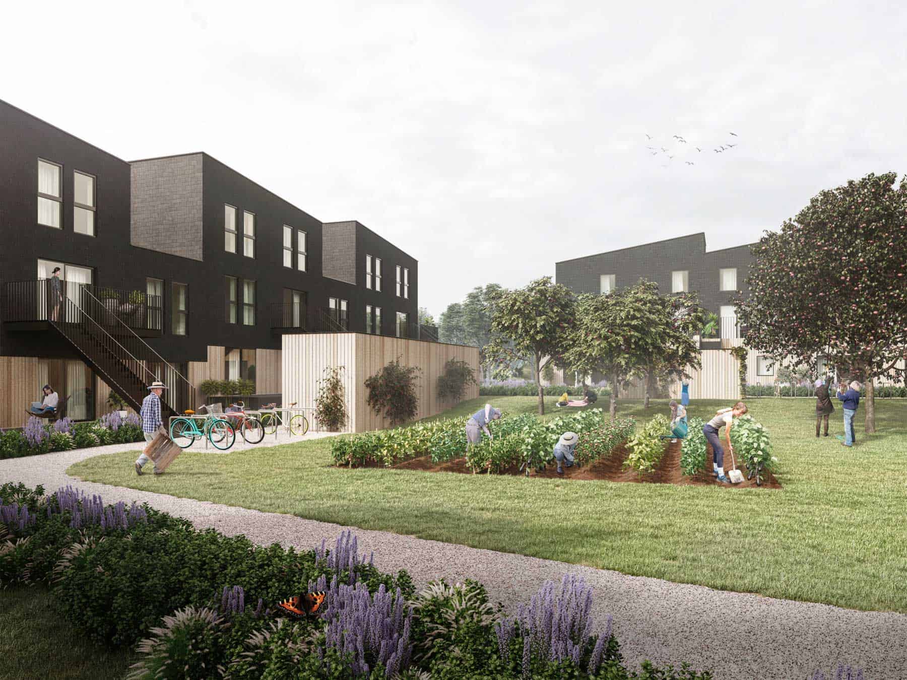 Arkitekttegnede, mørkebrune rækkehuse i træ med græsstier, vilde blomster og fælles opholdsarealer i forgrunden i et af vores mange bofælleskaber.