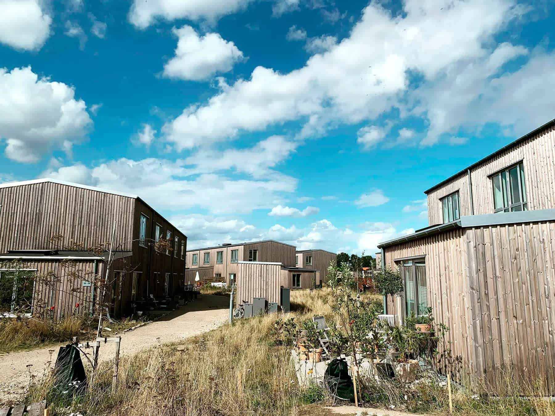 Træhuse under blå himmel i et af vores bofællesskaber og økolandsbyer her på Sjælland.