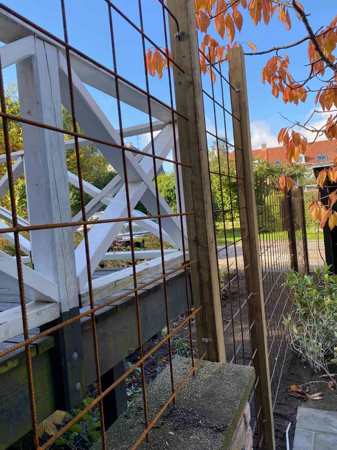 hegn