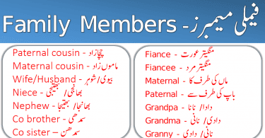 Family Members in Urdu and English PDF learn all members of a family in English and their meanings in Urdu