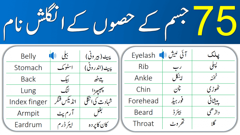 Parts of Body for Kids with Urdu Meanings learn common parts of human body and their meanings in Urdu for improving your English vocabulary