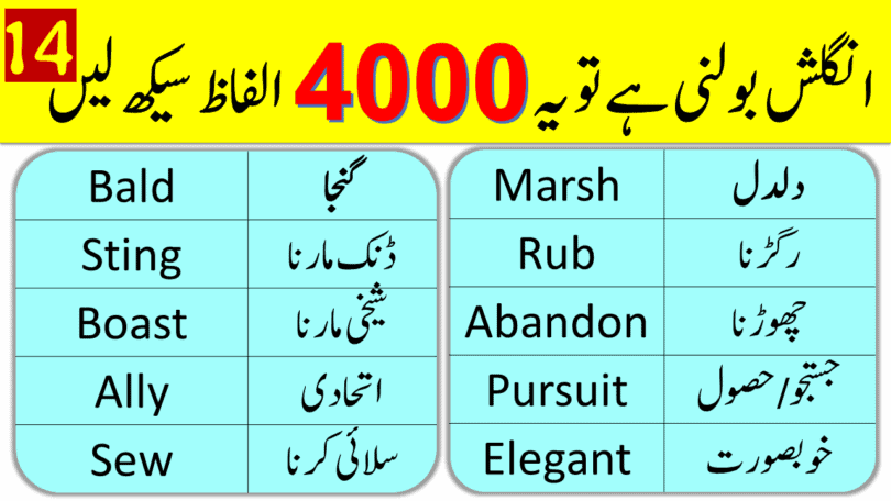 4000 English Vocabulary Words with Urdu Meanings Class 14