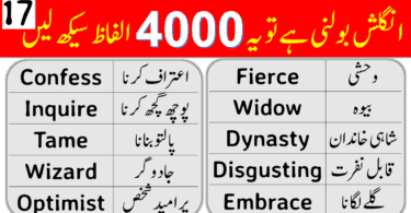 4000 English Vocabulary Words with Urdu Meanings Class 17