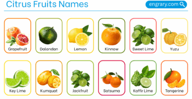 Citrus fruit names with pictures