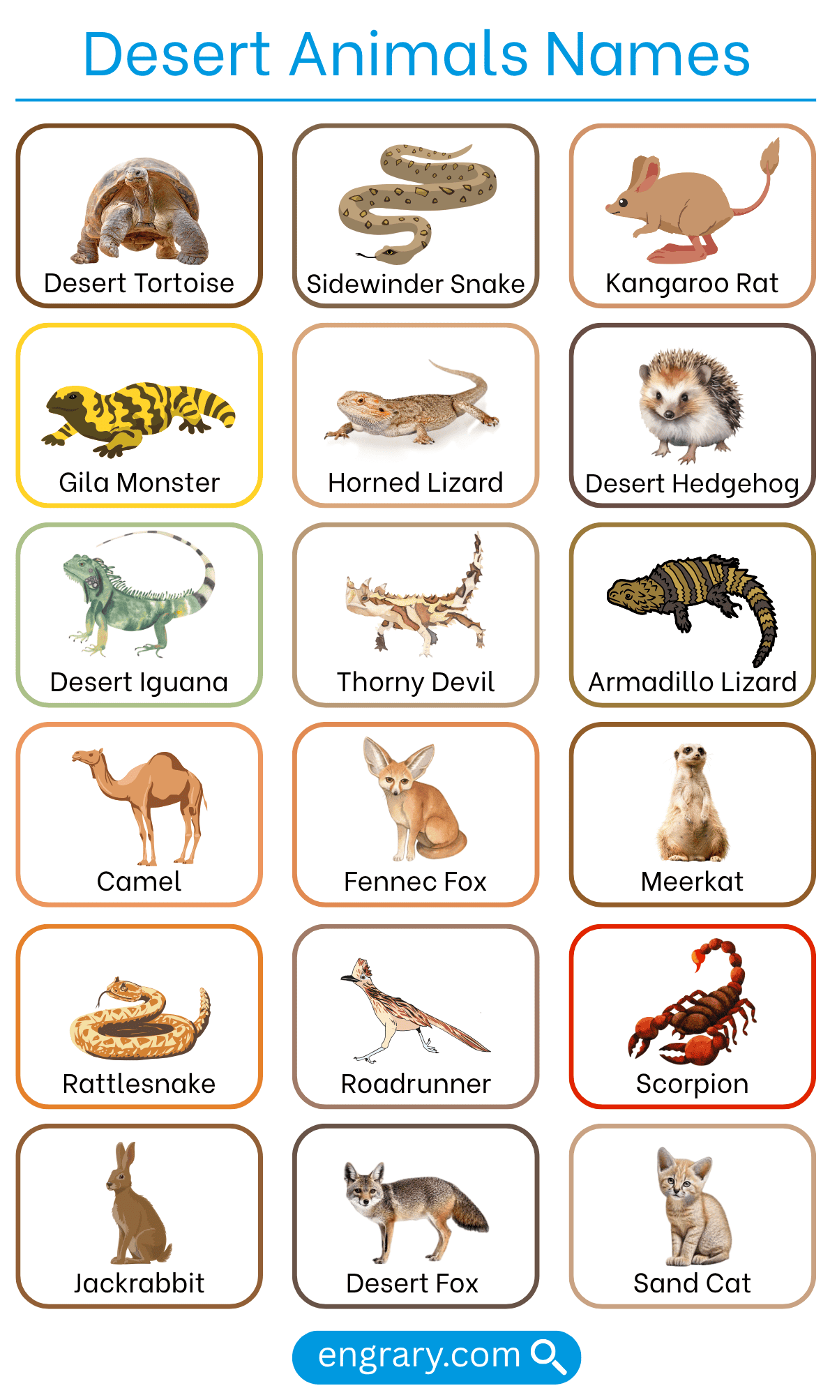 List of desert animals names with pictures in English