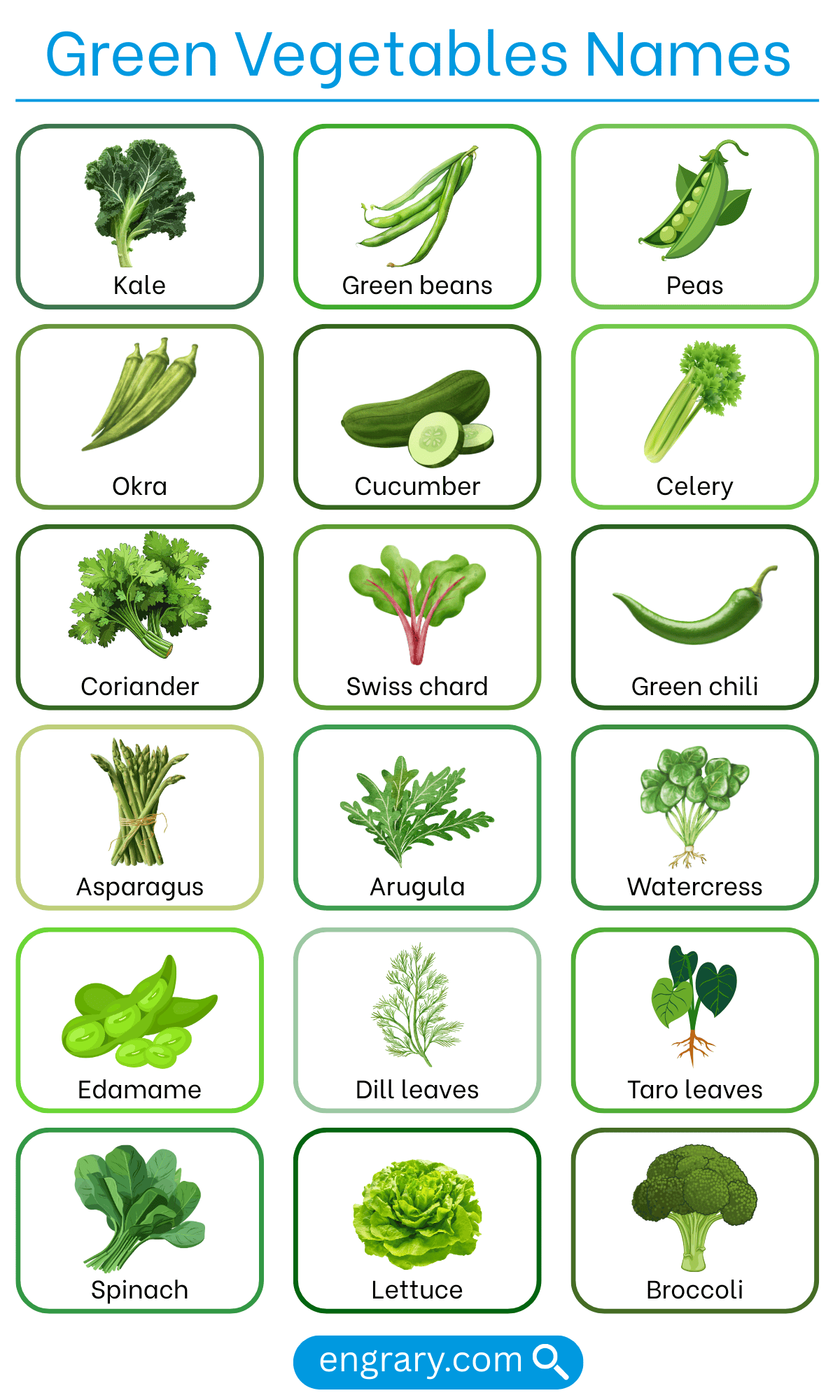 List of green vegetables names in English with images