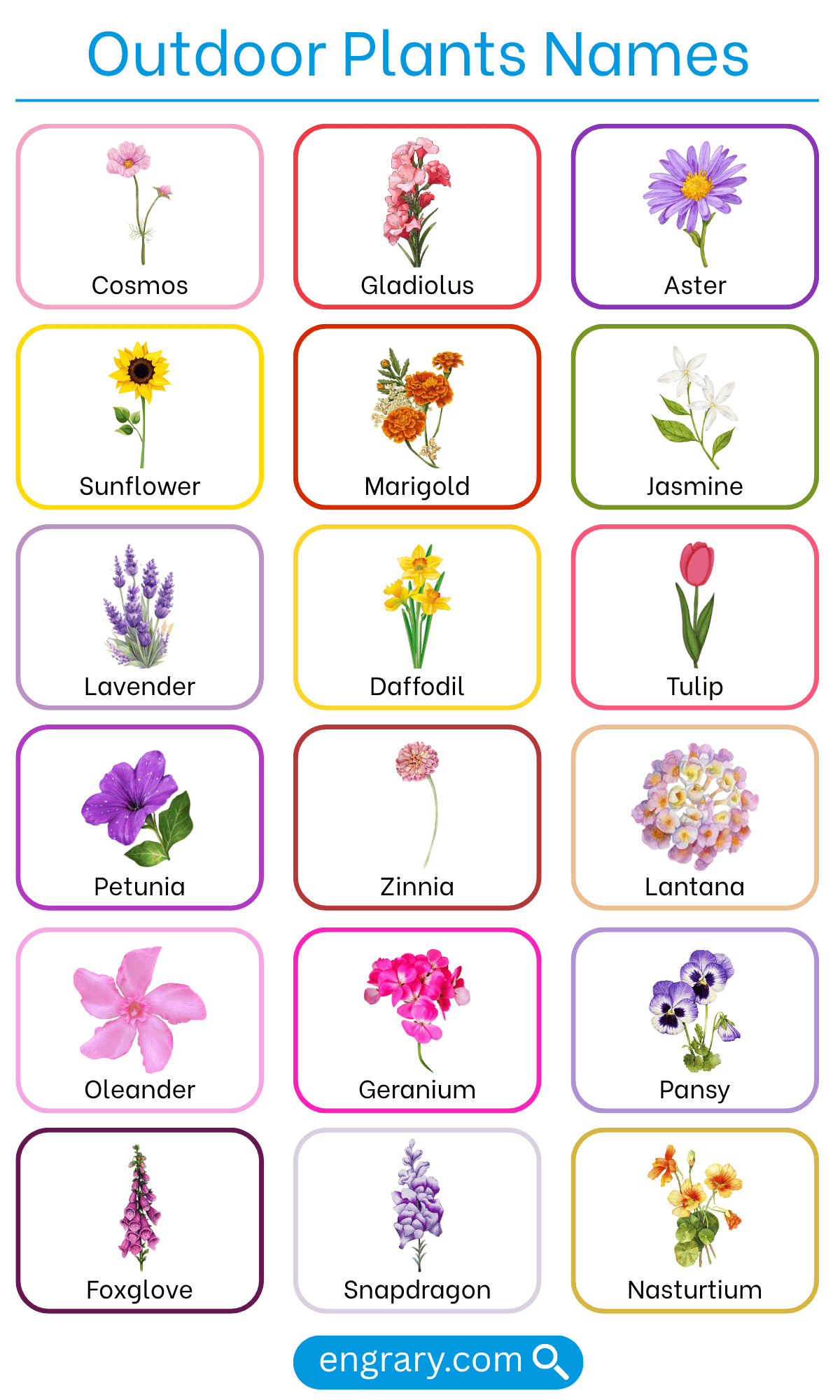 List of outdoor plants names with pictures
