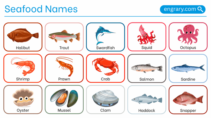 Seafood names with pictures in English