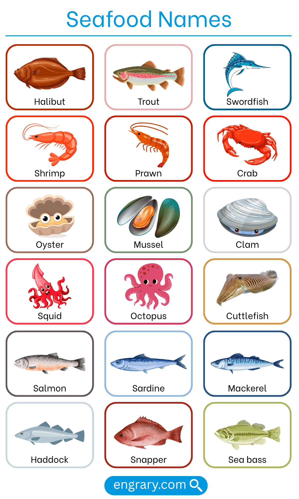 List of seafood names with pictures