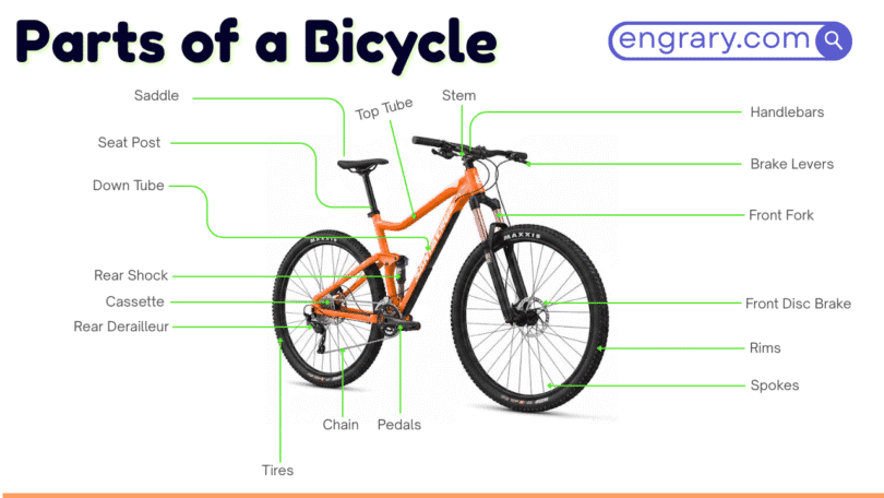 Bicycle parts names with functions and labeled diagram showing frame, wheel, drivetrain, brake, and steering components