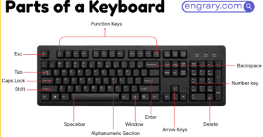 Parts of a keyboard labeled diagram showing 40 plus names including keycaps, function keys, typing keys, navigation keys, and number pad