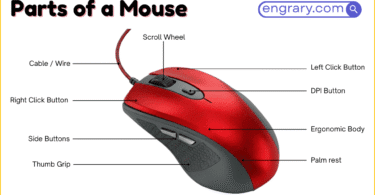 Parts of a mouse labeled diagram showing 30 plus names including shell, buttons, scroll wheel, side controls, sensor, and internal parts