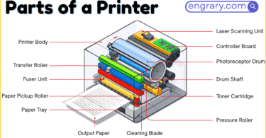 Printer parts names with labeled diagram showing body, trays, print hardware, scanner parts, and ports