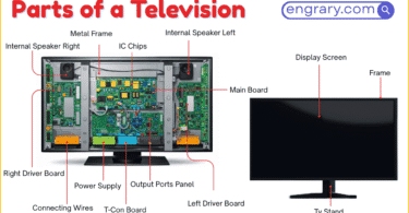 parts of a television labeled diagram showing front panel, screen, ports, internal parts, and support features