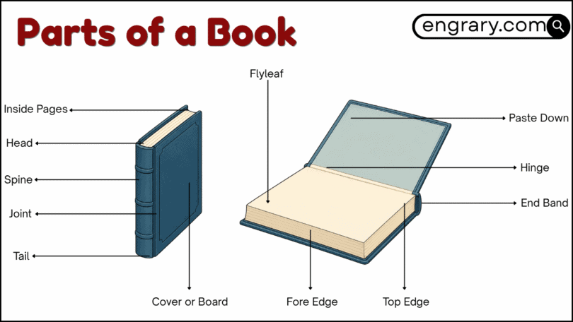Parts of a book labeled diagram showing external parts front matter body matter and back matter