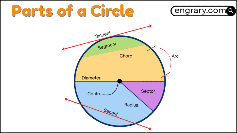 Parts of a Circle Explained With Labeled Diagram