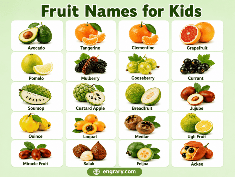 50 Fruit Names for Kids with Pictures