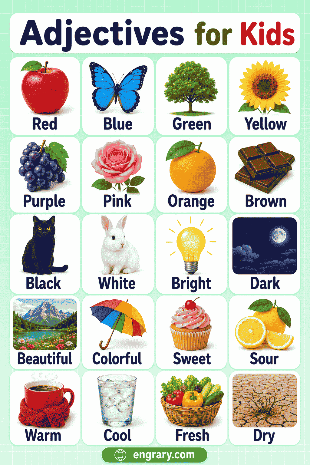 Adjectives for Kids Sentences