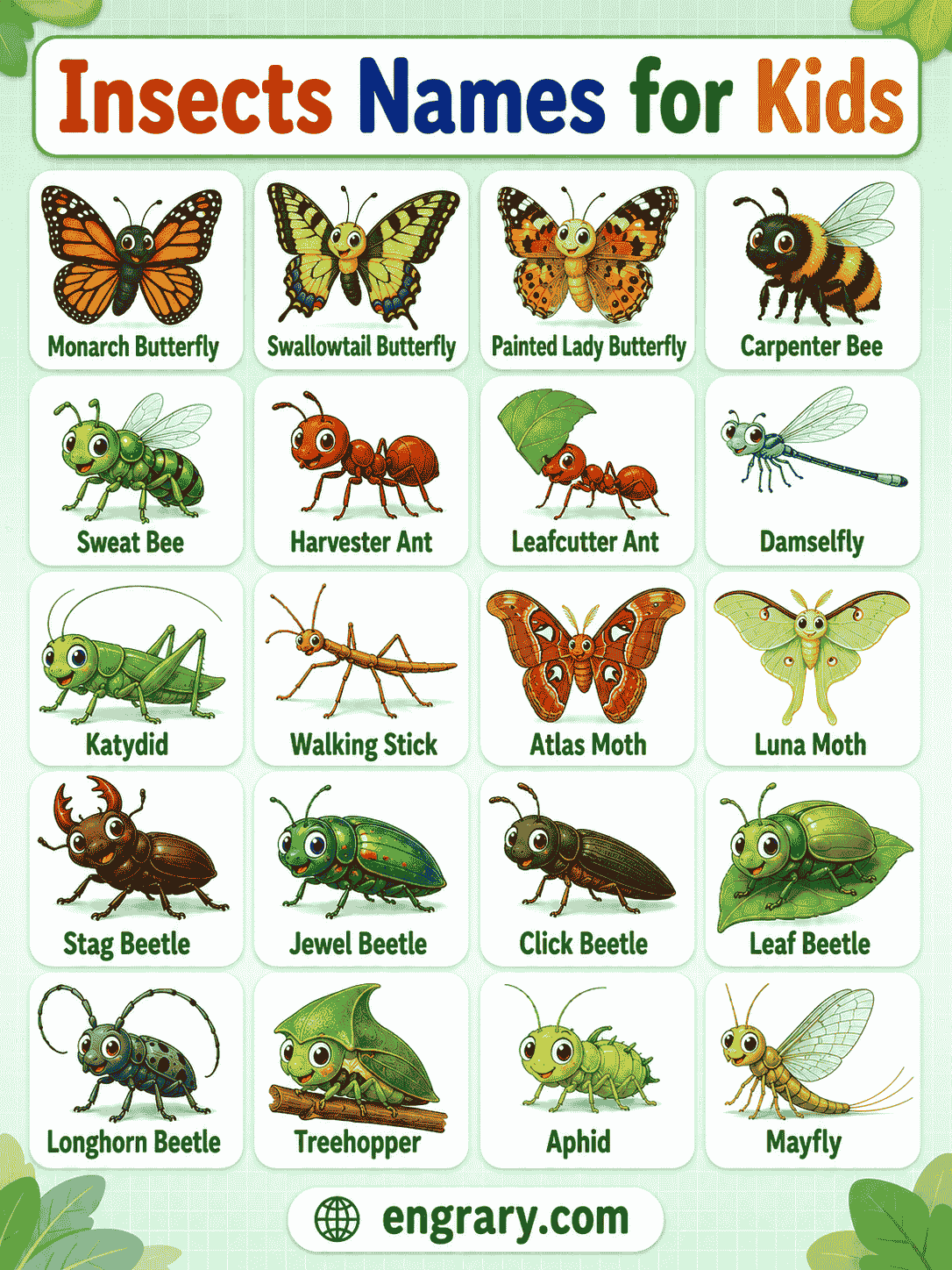 Insects Names List for Preschool and Kindergarten
