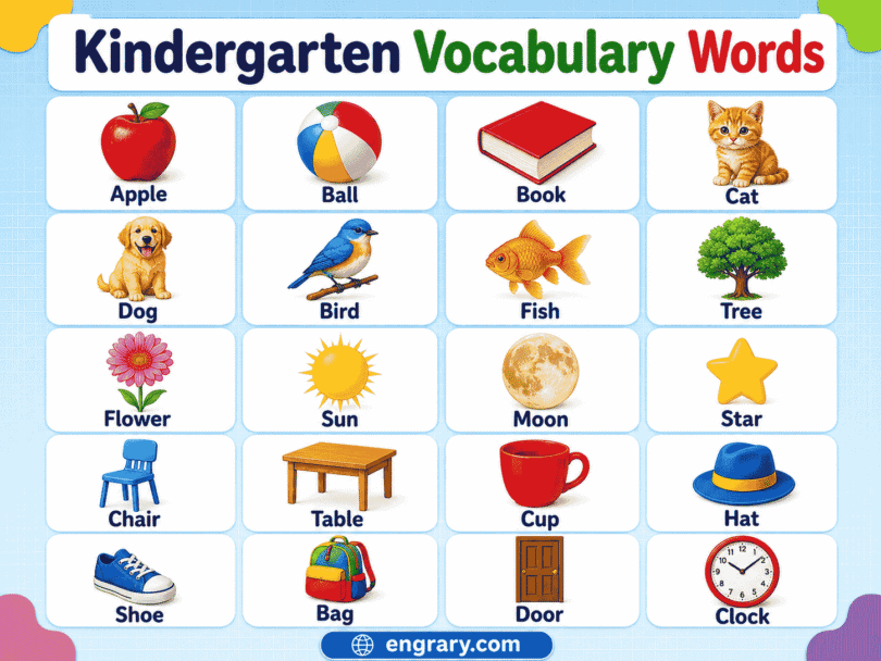 Kindergarten Word List Meanings, Pictures & Sentences