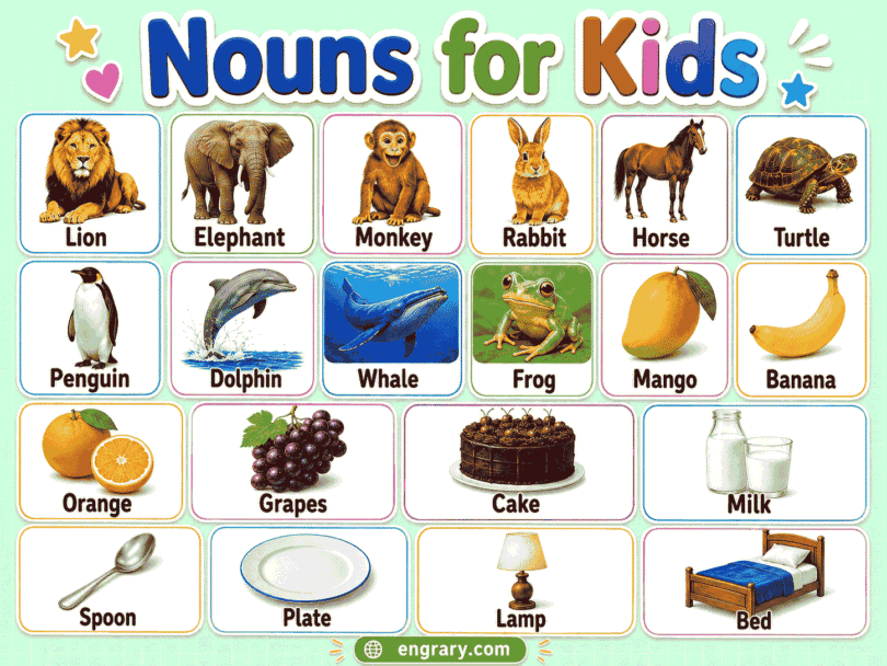 Nouns for Kids with Examples, Pictures, and Sentences