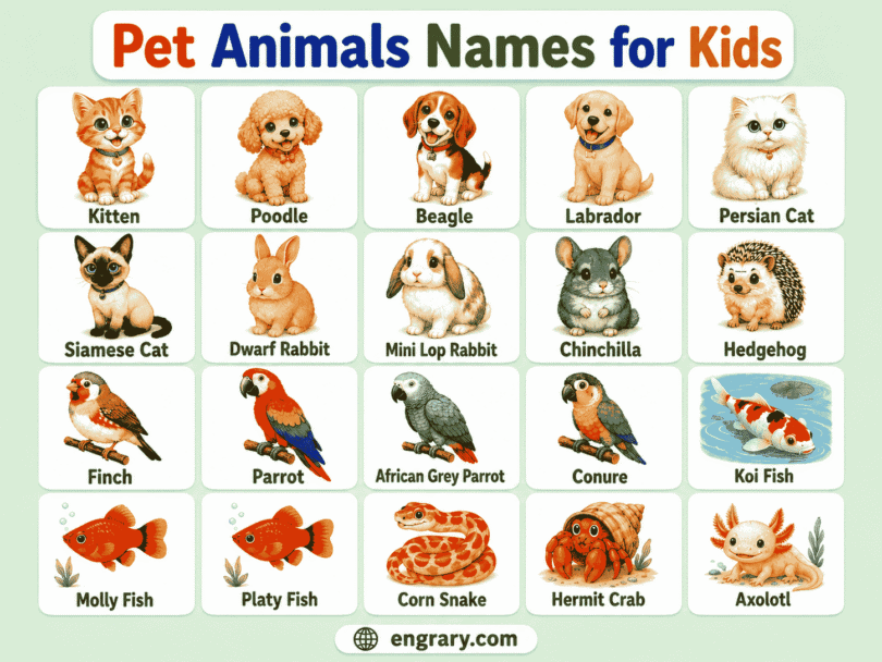 Pet Animals for Kids Names, Pictures, and Sentences