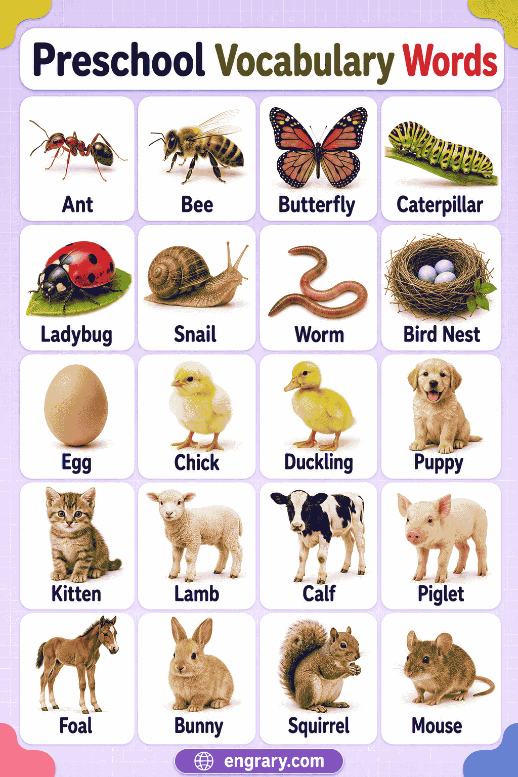 Preschool Vocabulary List for Parents and Teachers