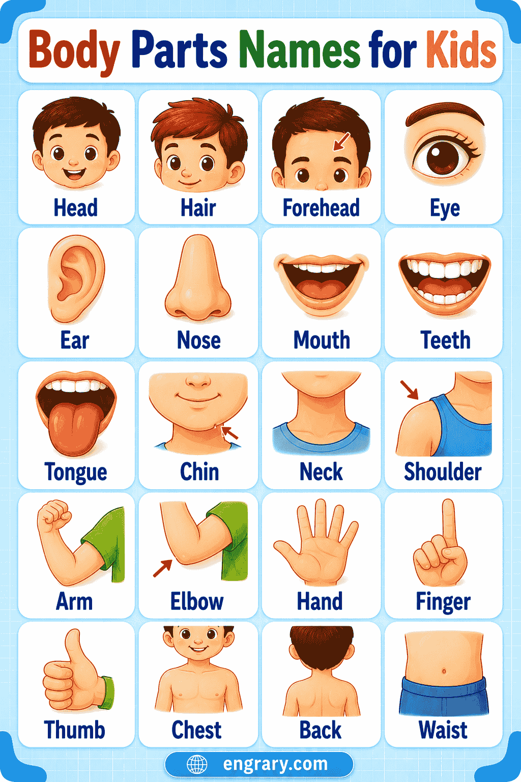  Body Parts Names for Kids: Easy List with Pictures 