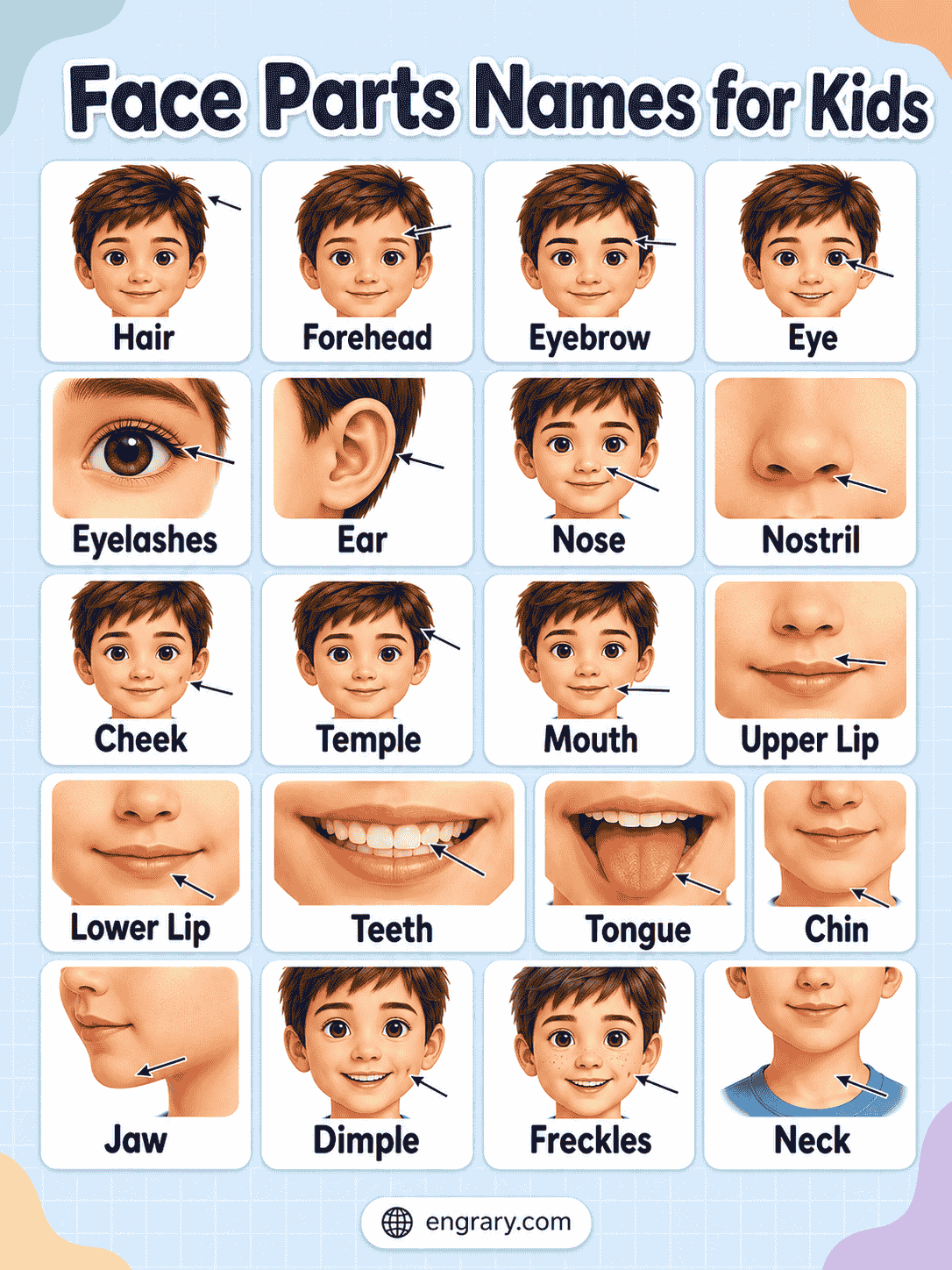 Face parts Name with Picture