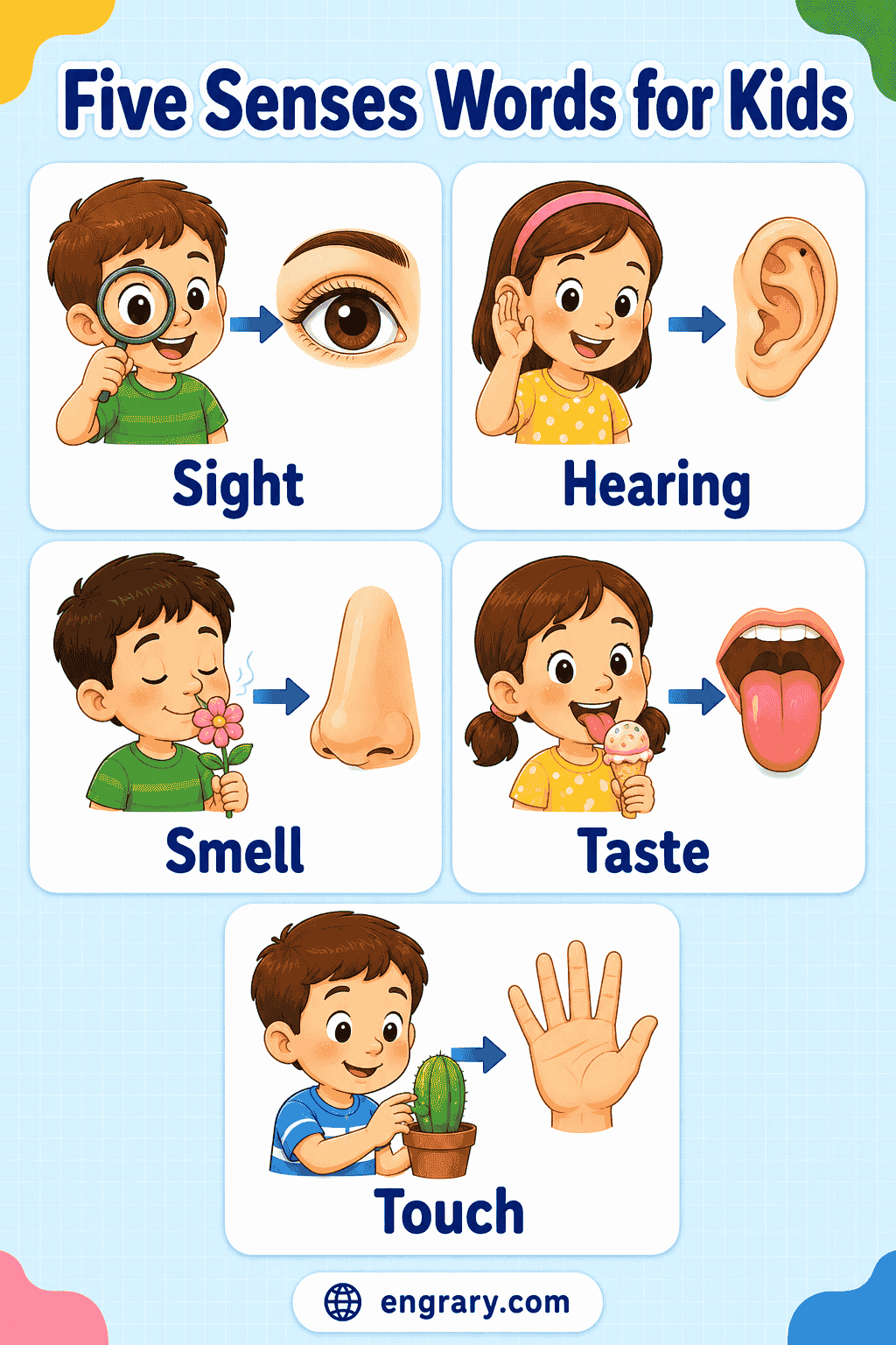 Five Senses Words for Kids to See, Hear, and Feel