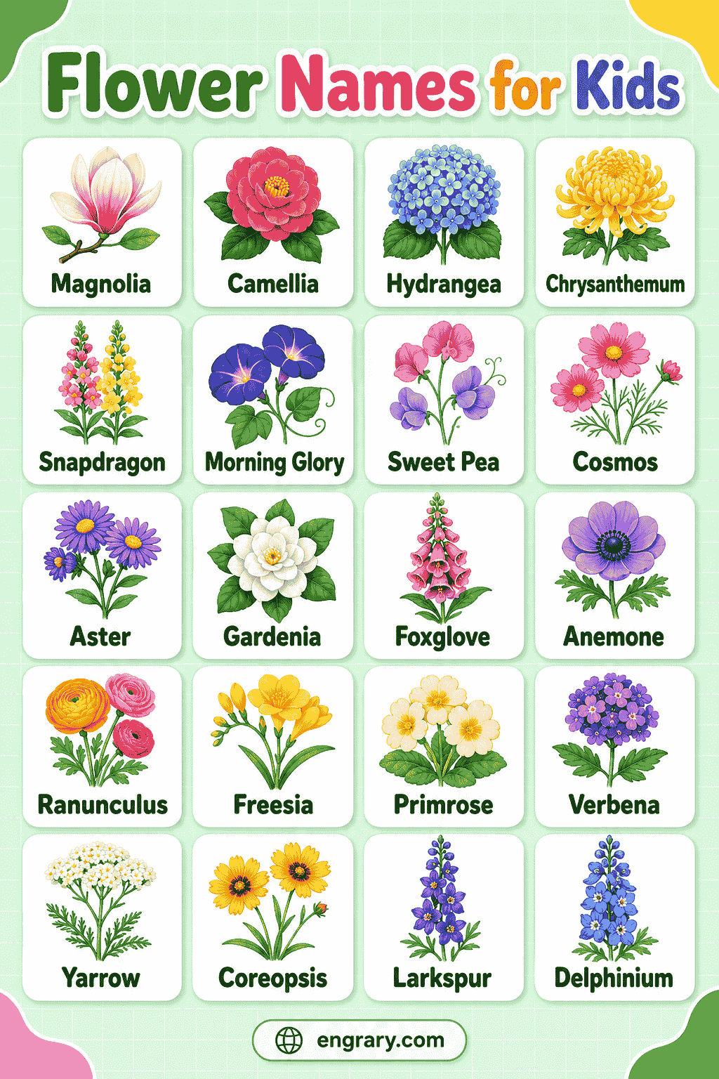 Flower Names for Kids: Easy Meanings, Colors & Fun Activities 