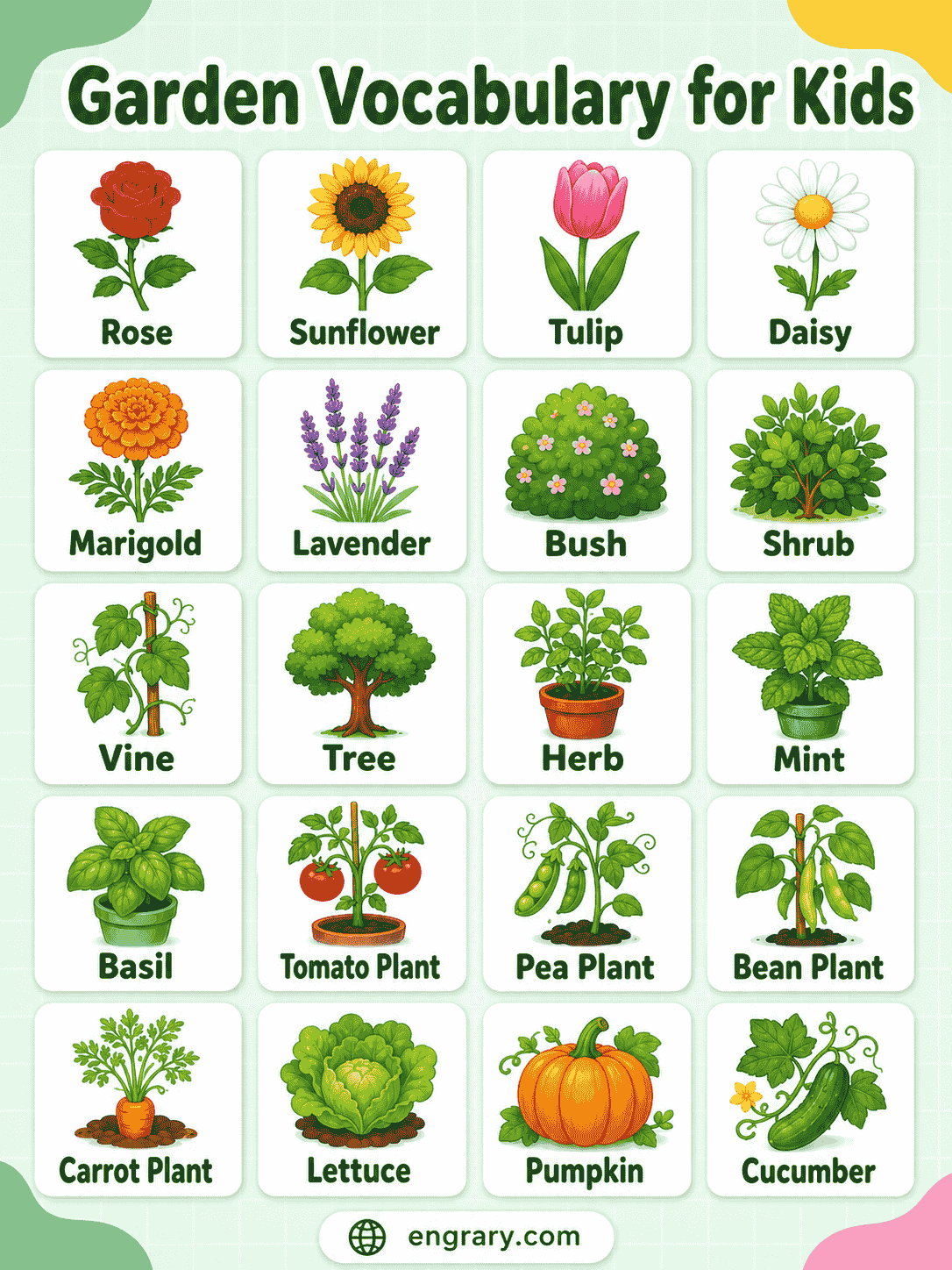 Garden Vocabulary for Kids: Easy Garden Words