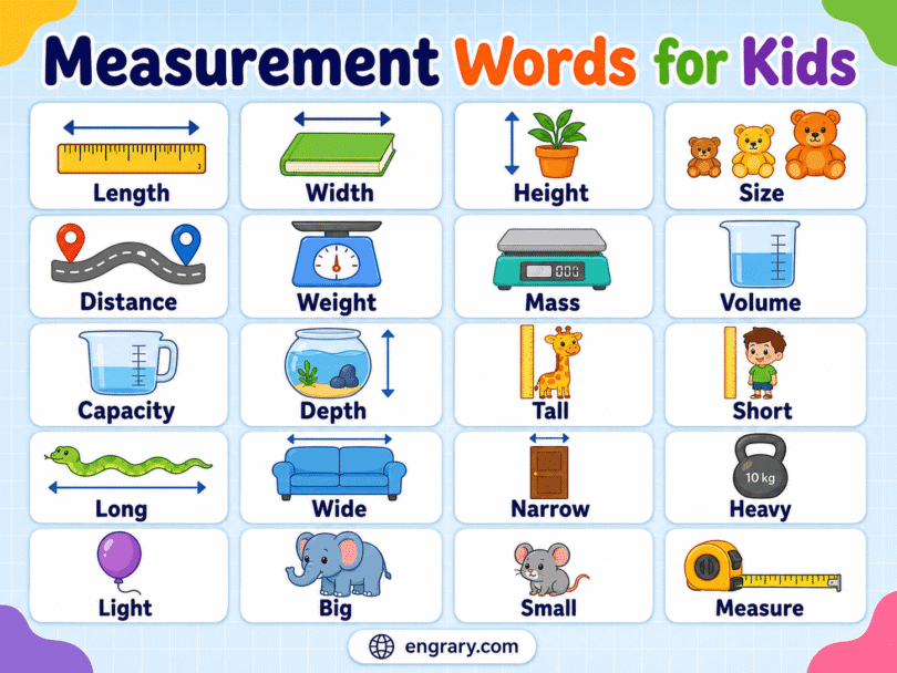 Measurement Words for Kids Length, Weight, Capacity & Time