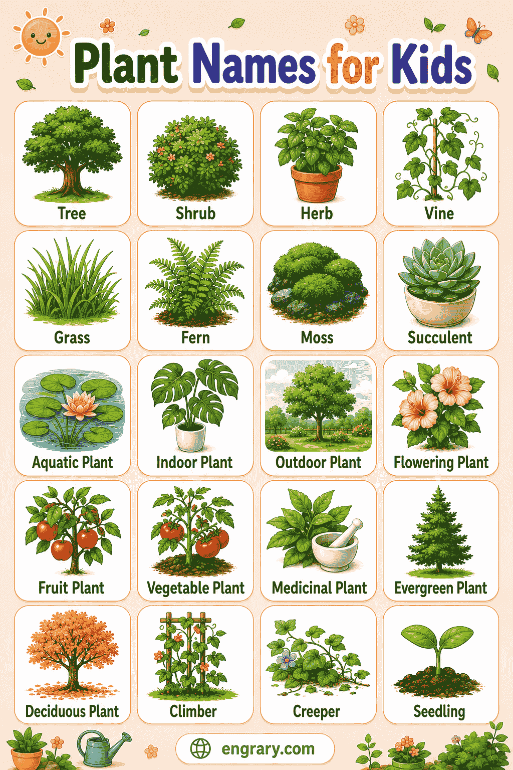 Plant Names Chart for Kids
