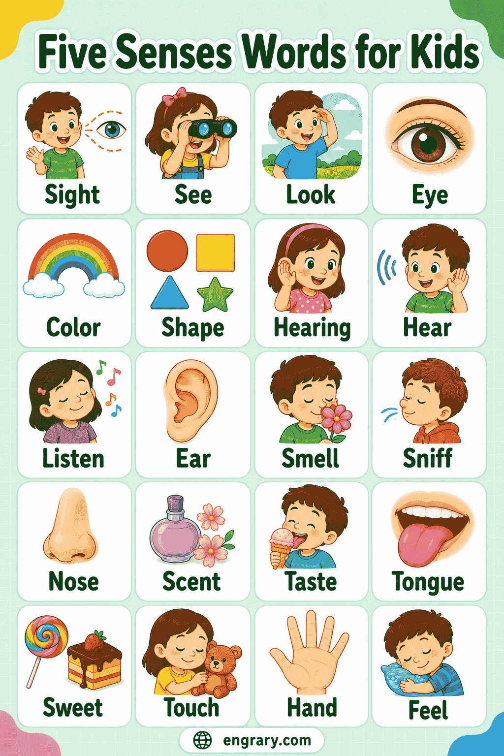 Sensory Words for Kids with Simple Meanings
