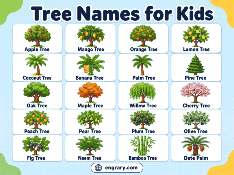 Tree Names for Kids: Fruit, Shade & Tall Trees with Pictures