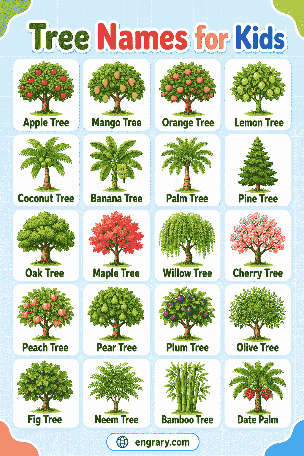 Tree Names for Kids with Pictures