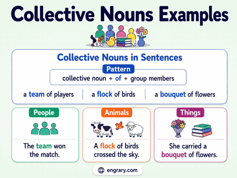 Collective Nouns Examples for People, Animals, and Things