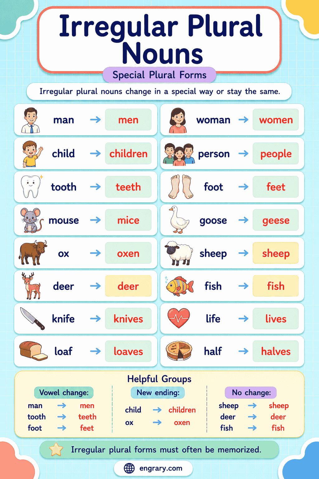 Common Irregular Plural Nouns Examples for Kids