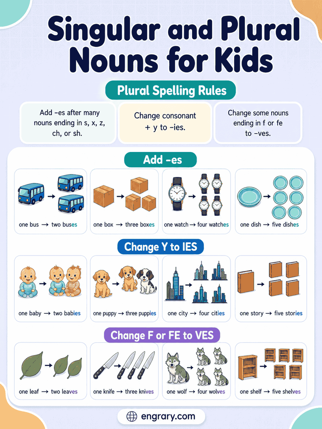 One and Many Nouns for Kids with Rules and Examples