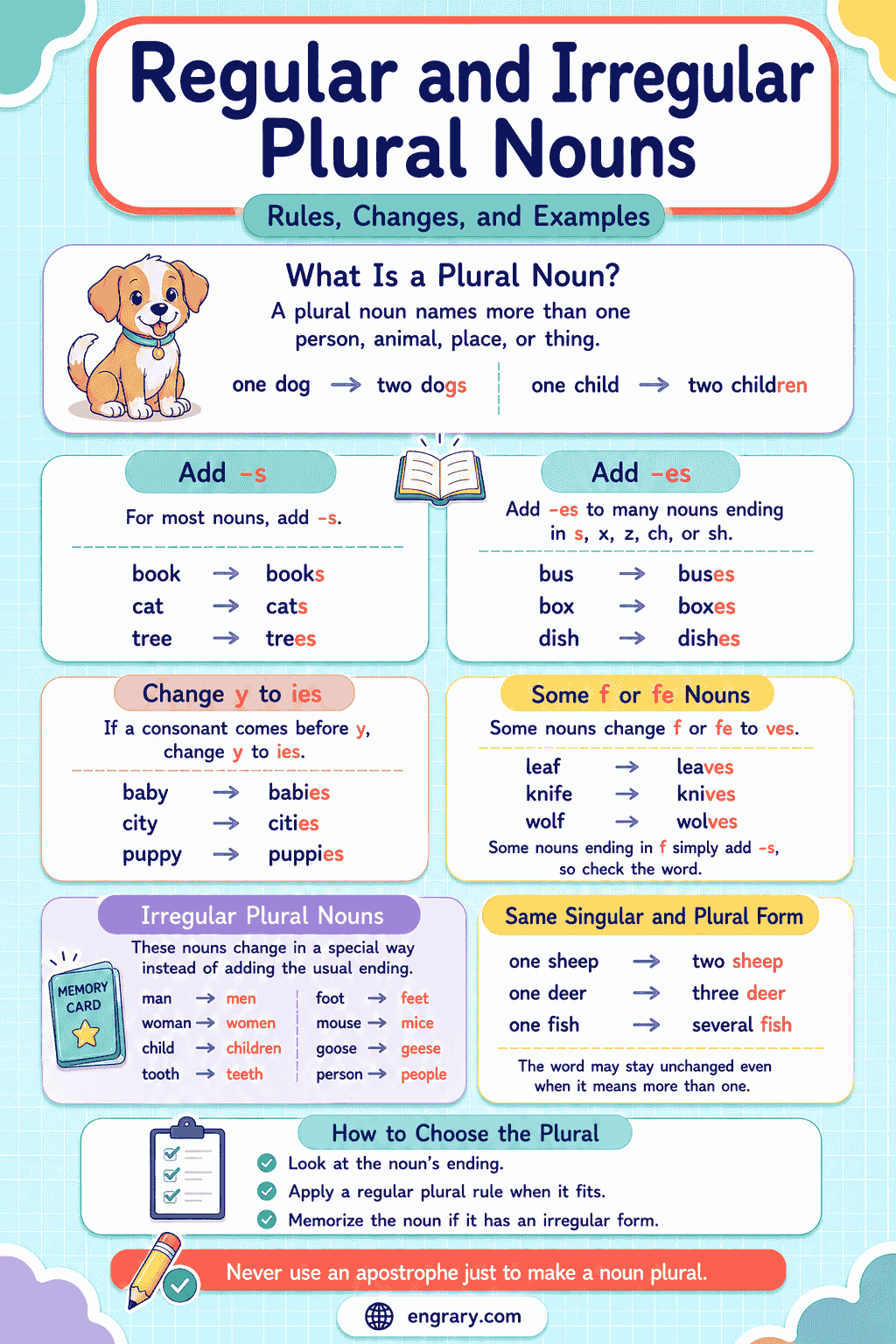 Regular and Irregular Plural Nouns for Kids Explained